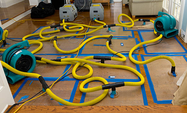 Professional Water Extraction technician working in Jerome, IL